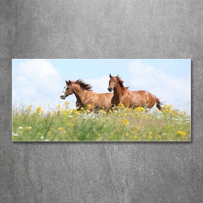 Tableau verre imprimé Deux chevaux au galop