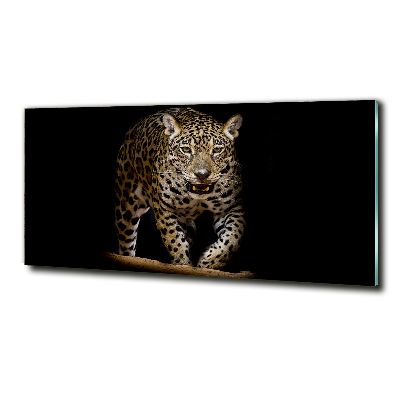 Tableau photo sur verre Jaguar