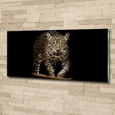 Tableau photo sur verre Jaguar