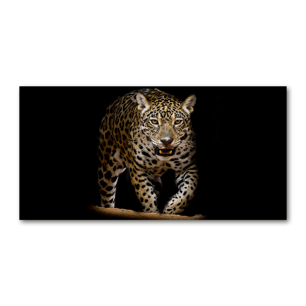 Tableau photo sur verre Jaguar