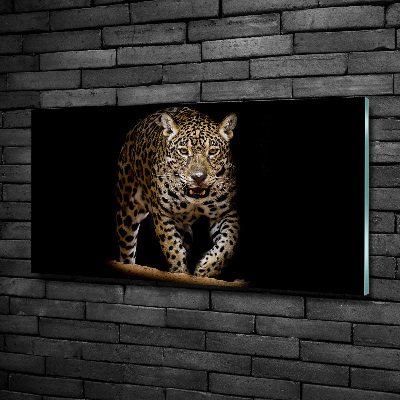 Tableau photo sur verre Jaguar