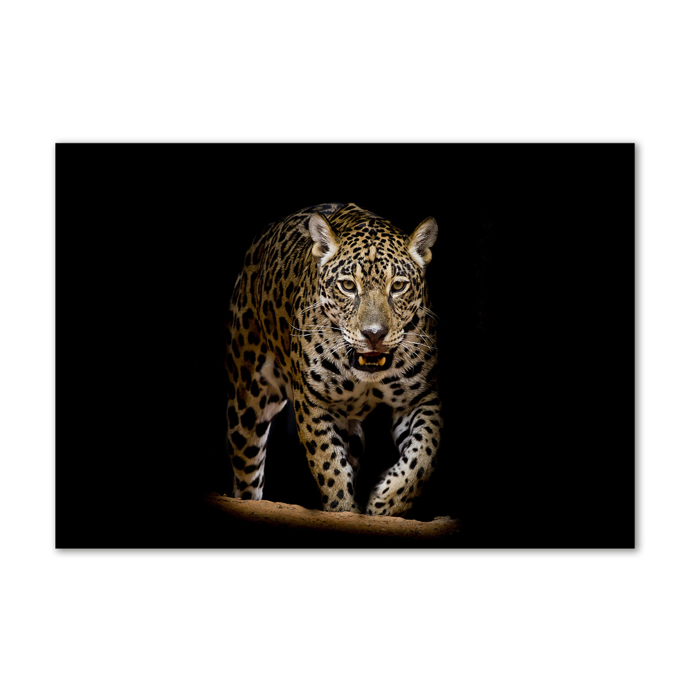 Tableau photo sur verre Jaguar