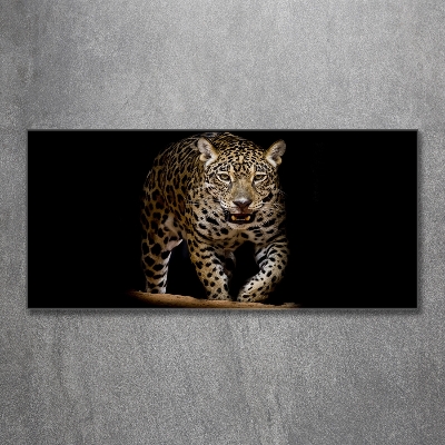 Tableau photo sur verre Jaguar