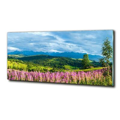 Tableau imprimé sur verre Lavande en montagne