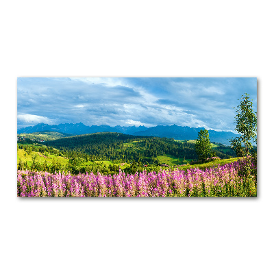 Tableau imprimé sur verre Lavande en montagne