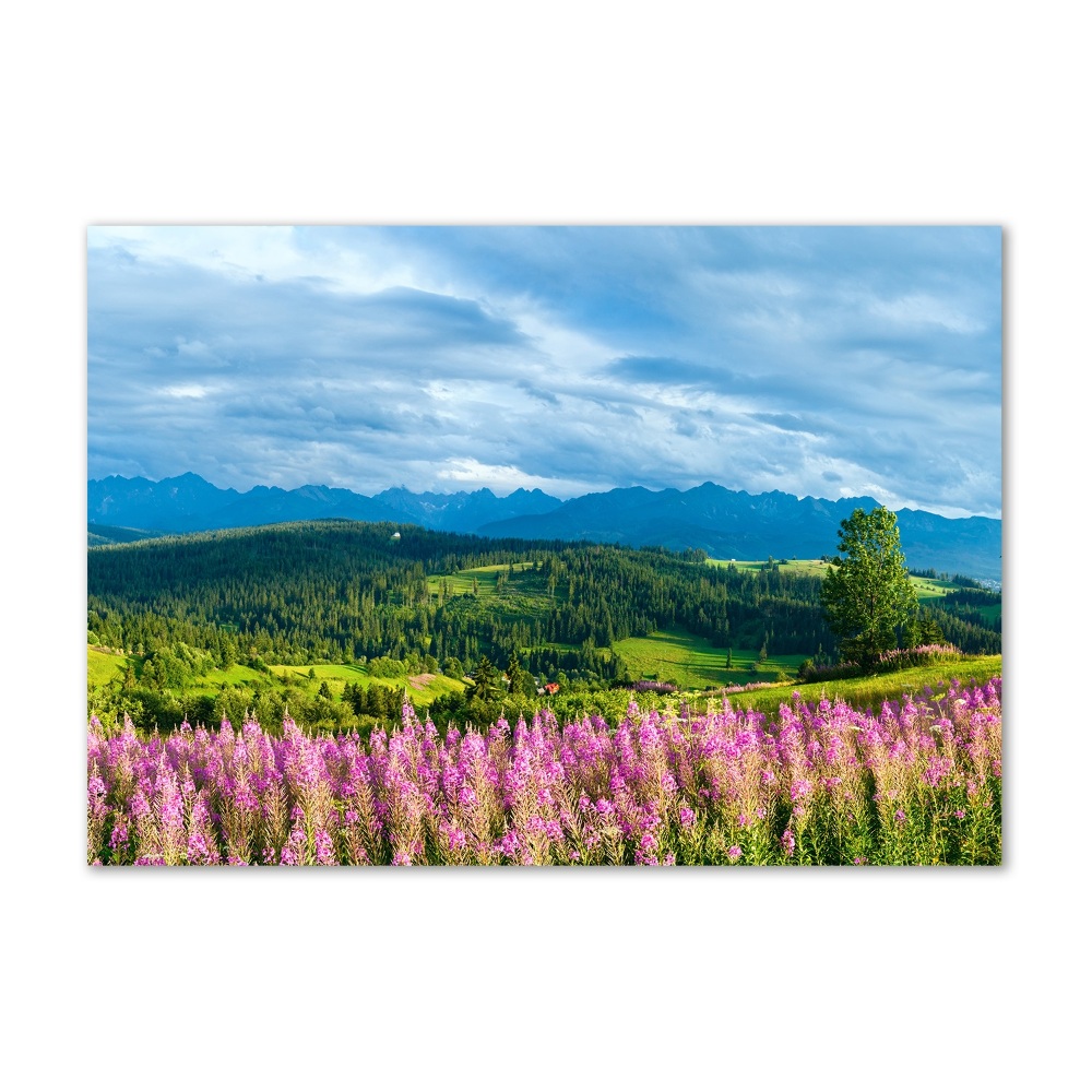 Tableau imprimé sur verre Lavande en montagne