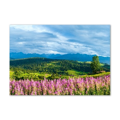 Tableau imprimé sur verre Lavande en montagne