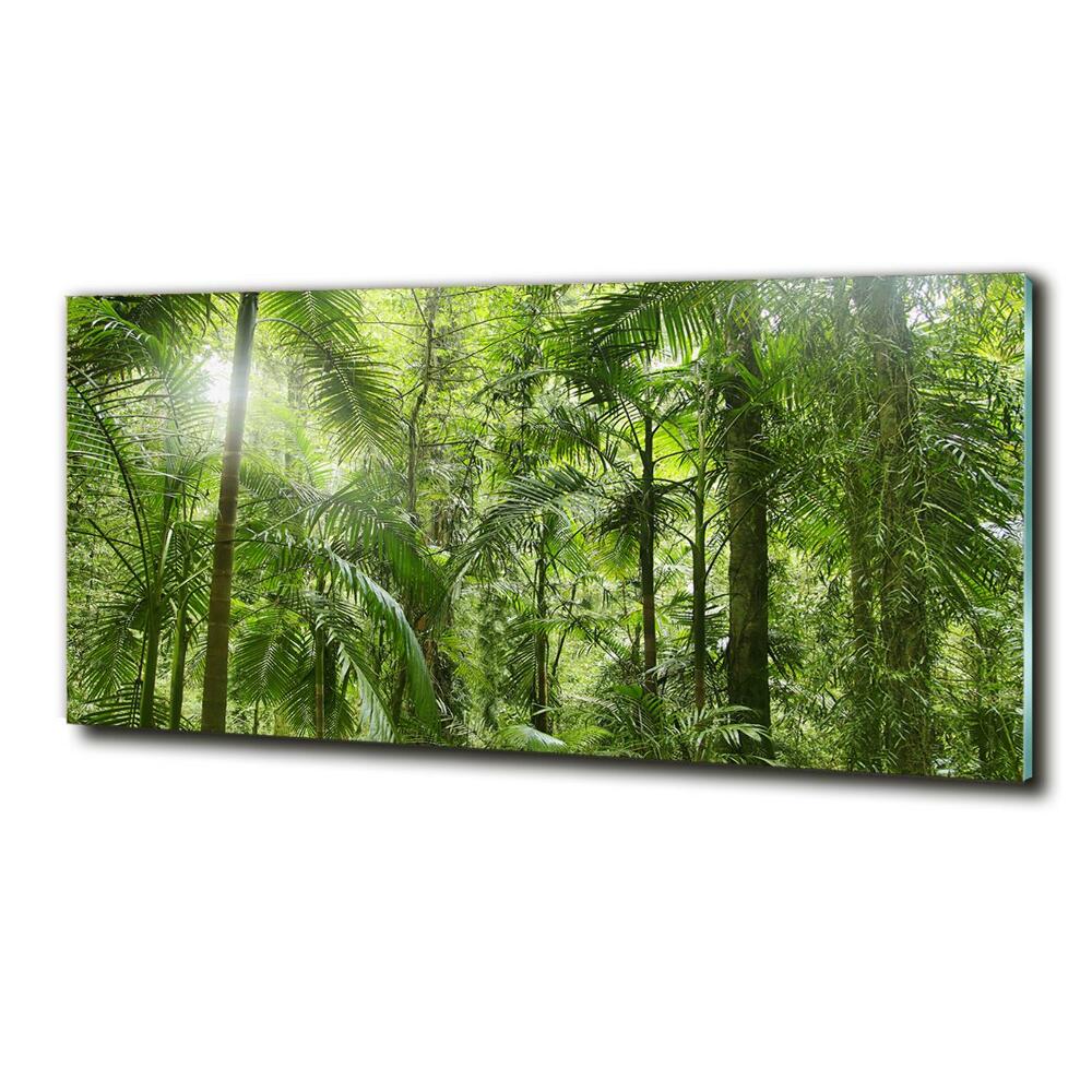 Tableau imprimé sur verre Forêt tropicale