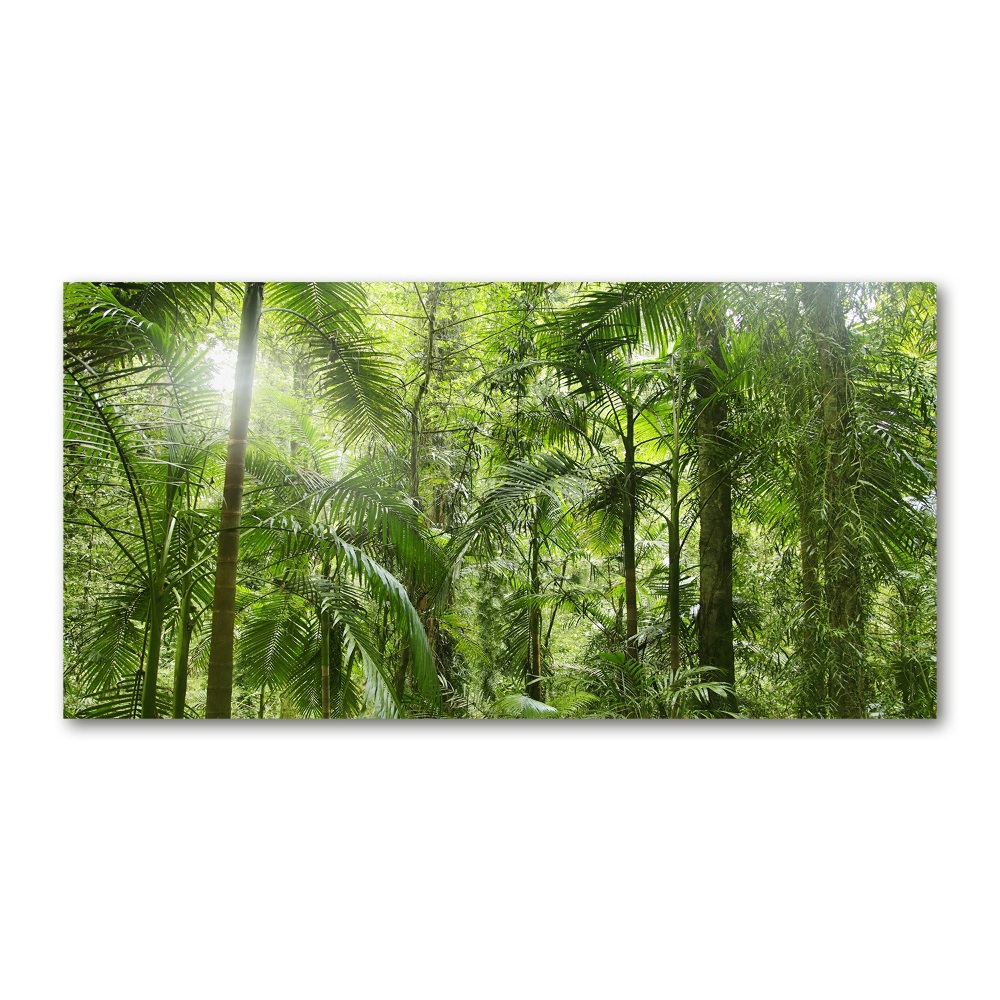 Tableau imprimé sur verre Forêt tropicale