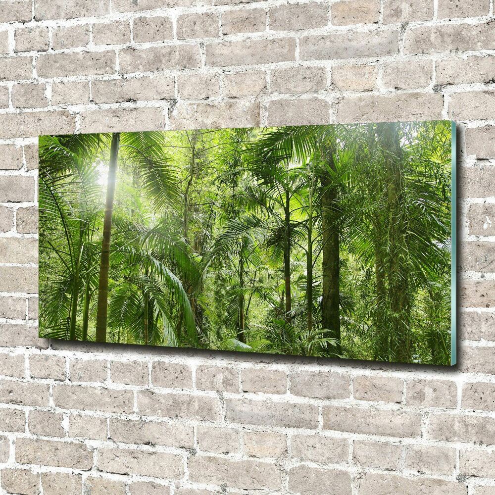 Tableau imprimé sur verre Forêt tropicale