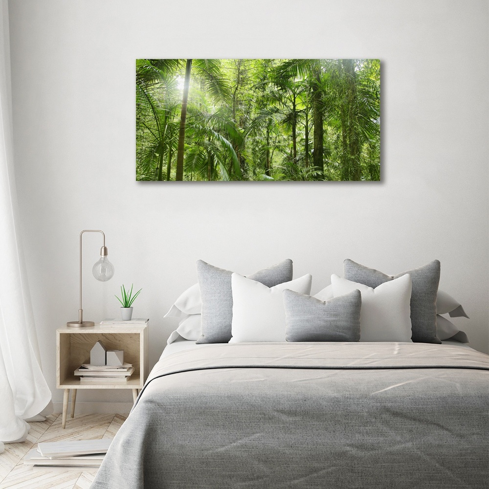 Tableau imprimé sur verre Forêt tropicale