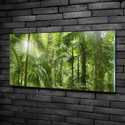 Tableau imprimé sur verre Forêt tropicale