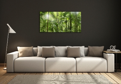 Tableau imprimé sur verre Forêt tropicale