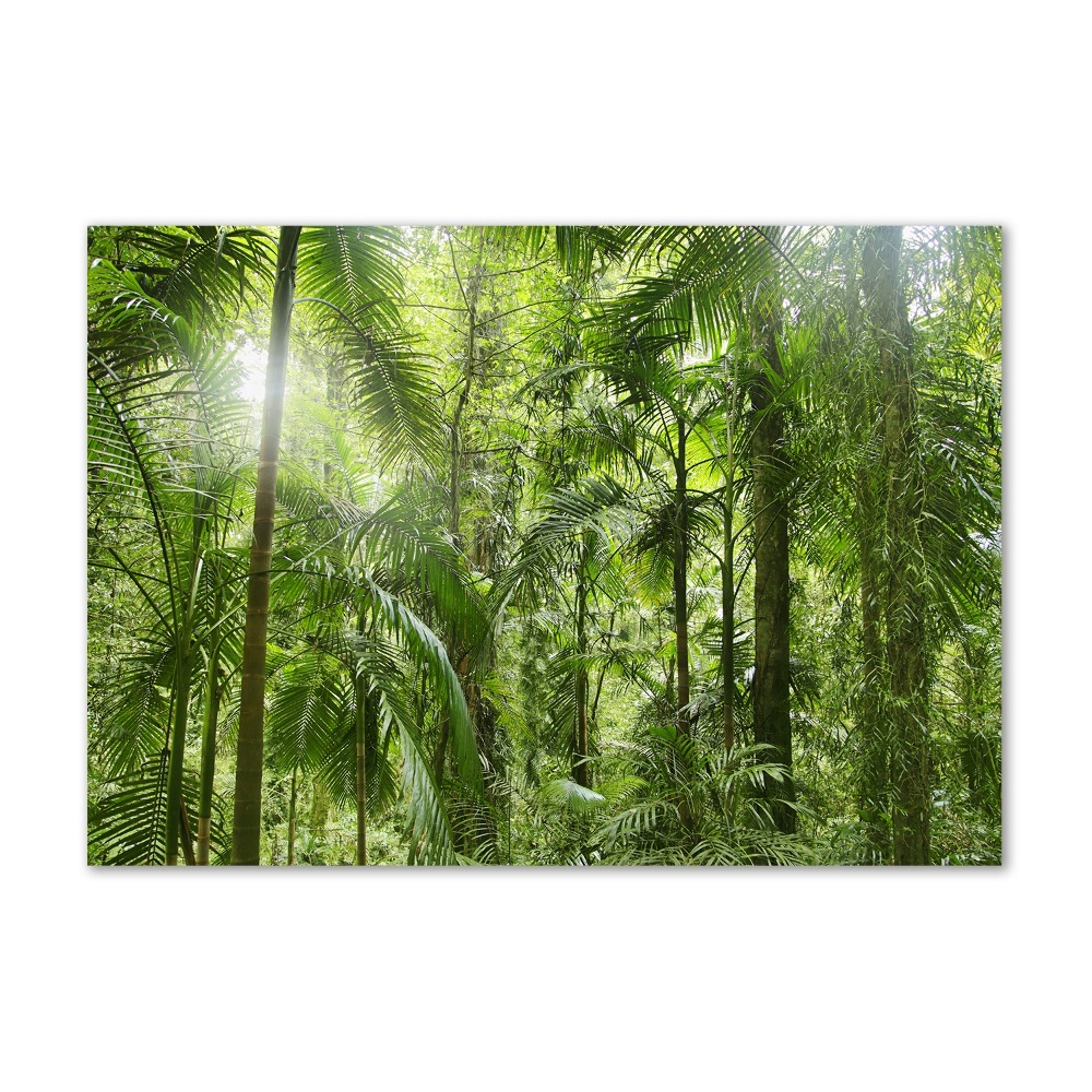 Tableau imprimé sur verre Forêt tropicale