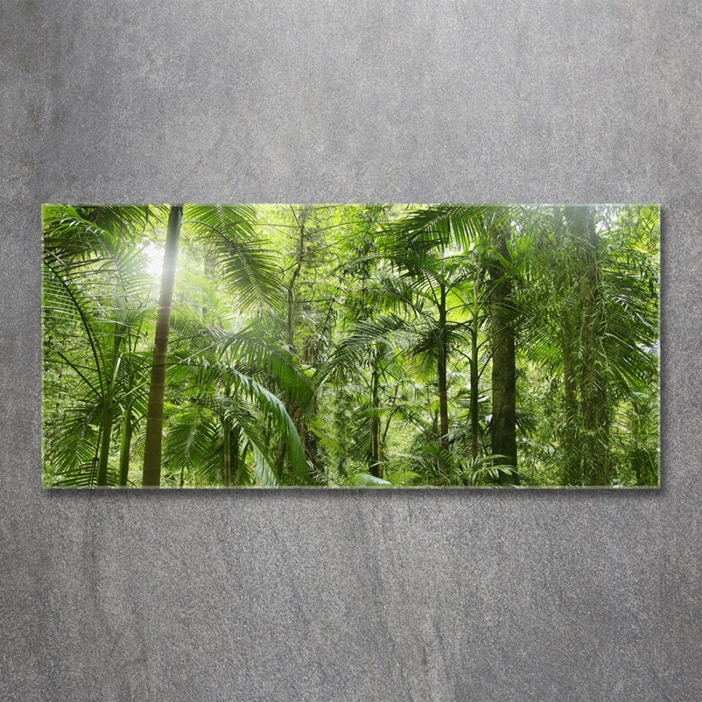 Tableau imprimé sur verre Forêt tropicale