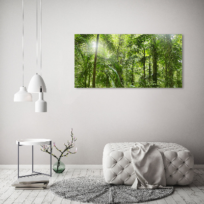 Tableau imprimé sur verre Forêt tropicale