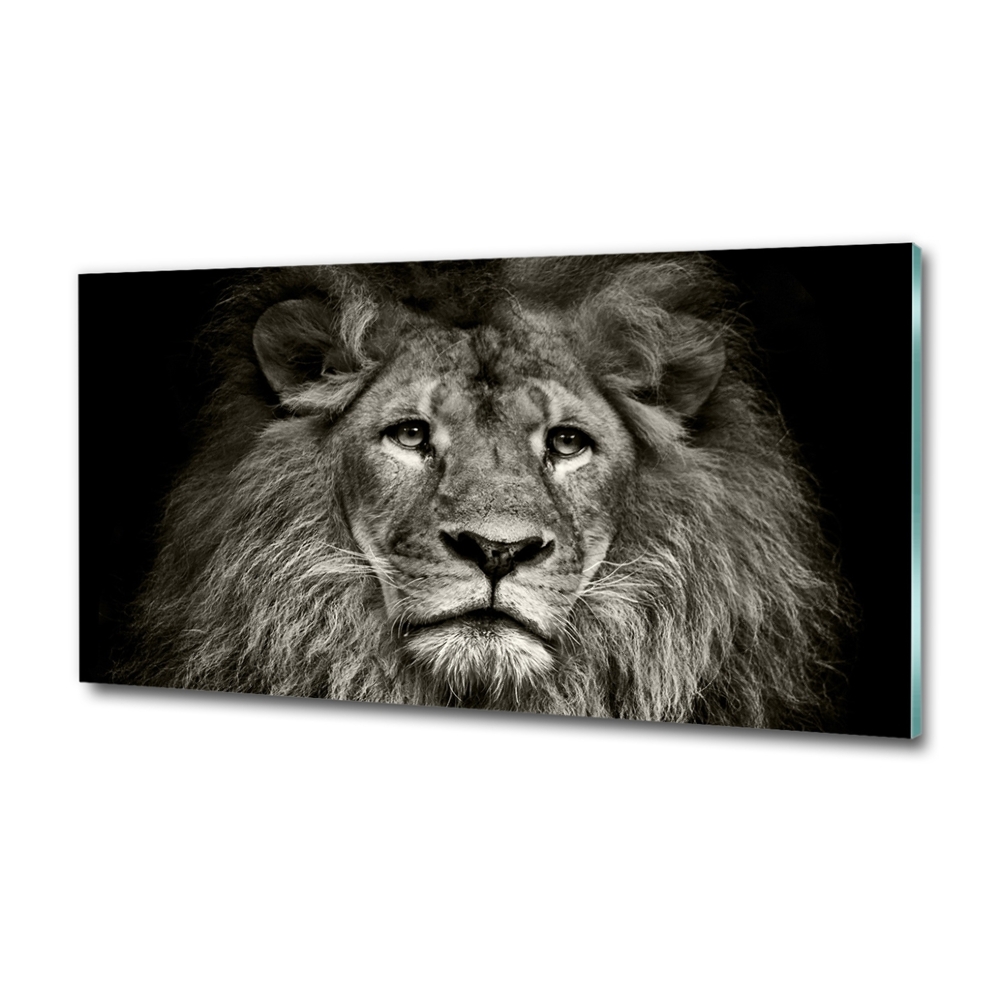 Tableau photo sur verre Lion