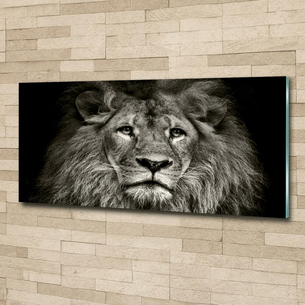 Tableau photo sur verre Lion