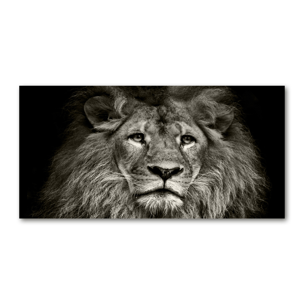 Tableau photo sur verre Lion