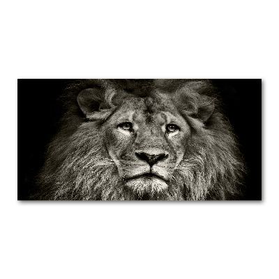 Tableau photo sur verre Lion