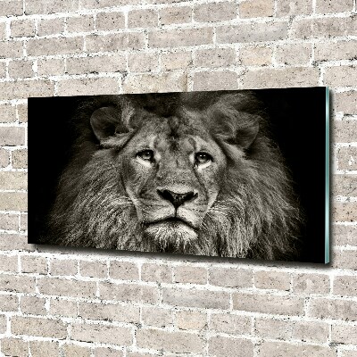 Tableau photo sur verre Lion