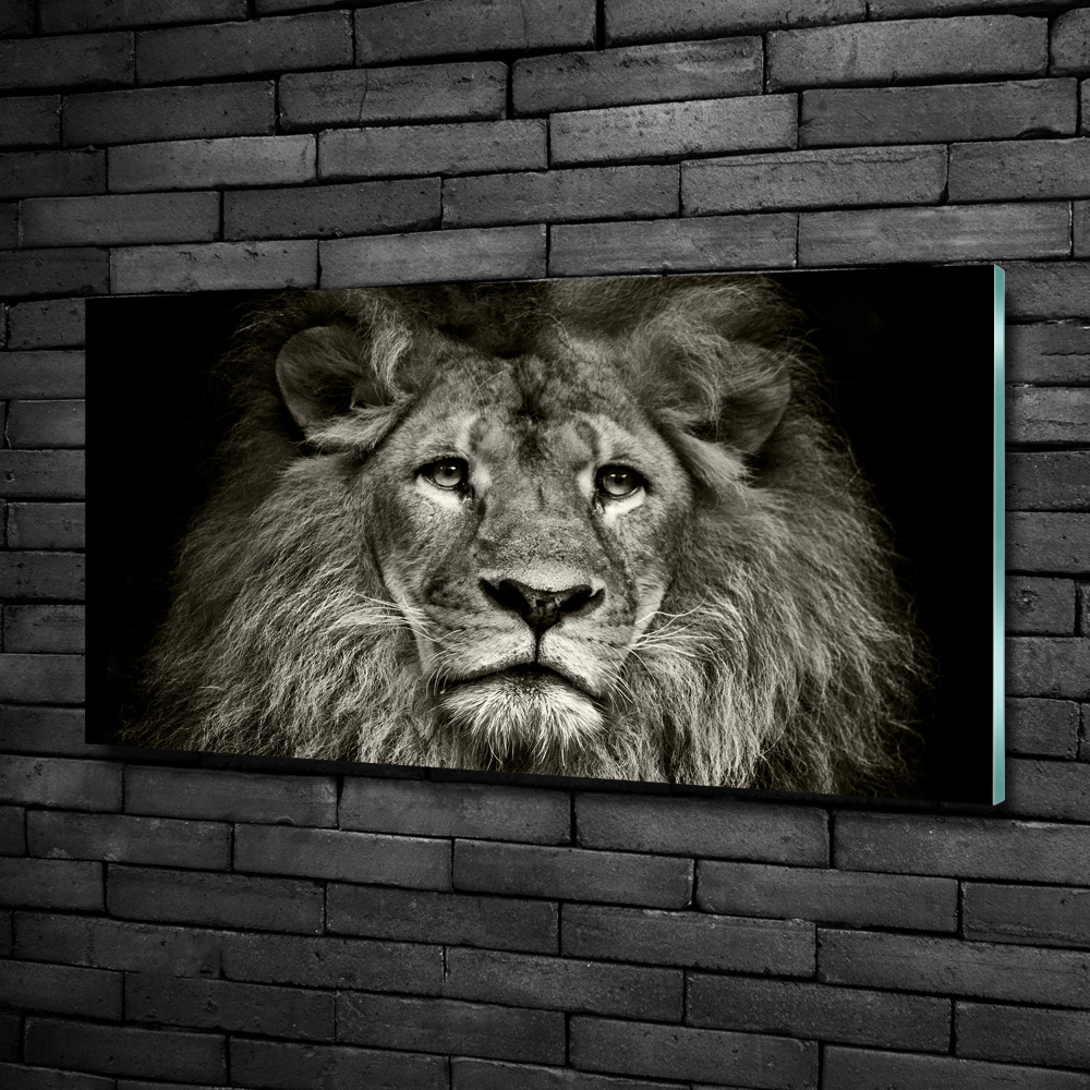 Tableau photo sur verre Lion