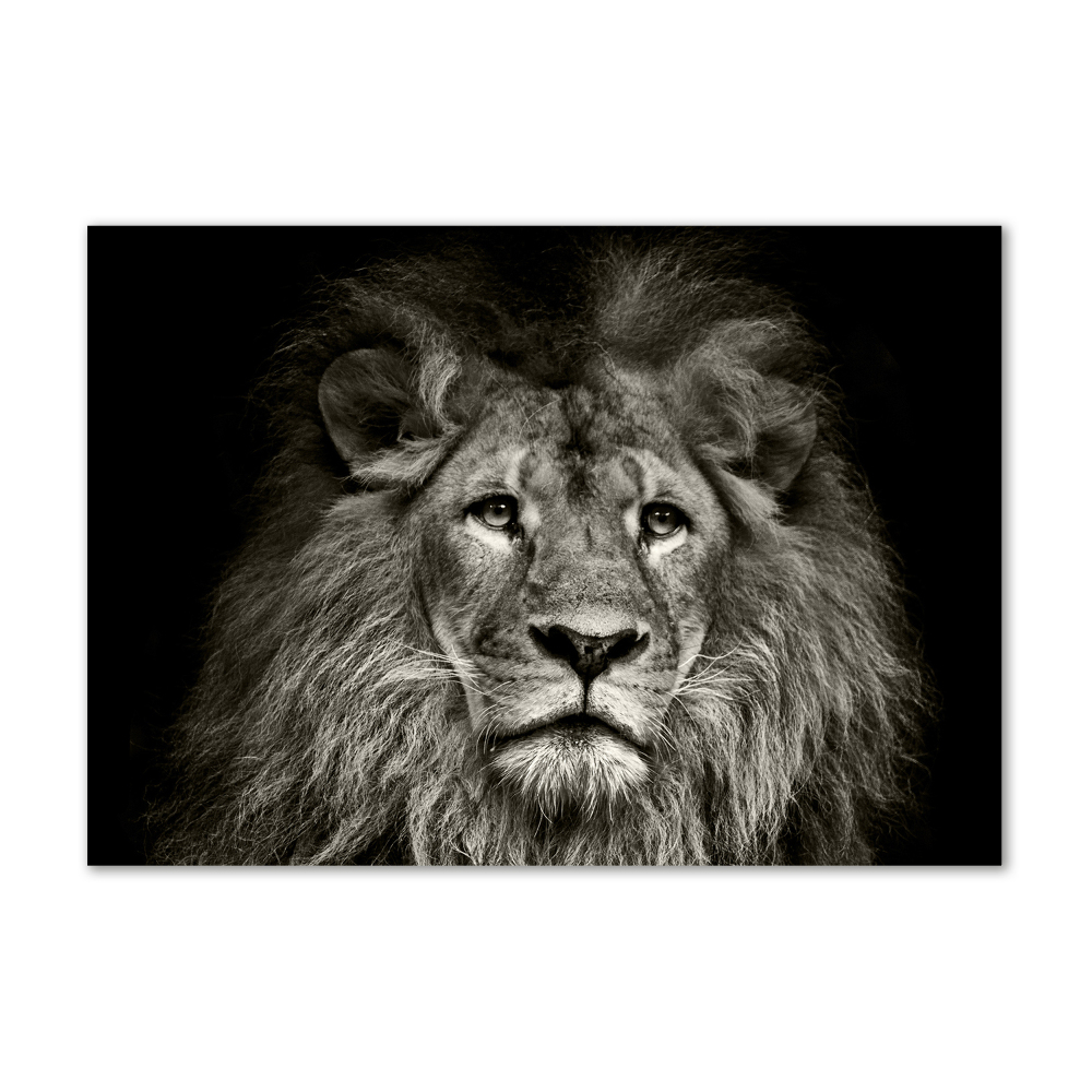 Tableau photo sur verre Lion