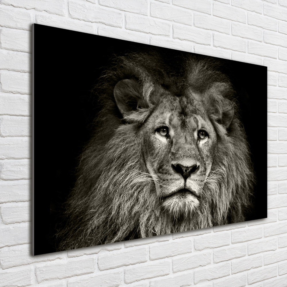 Tableau photo sur verre Lion