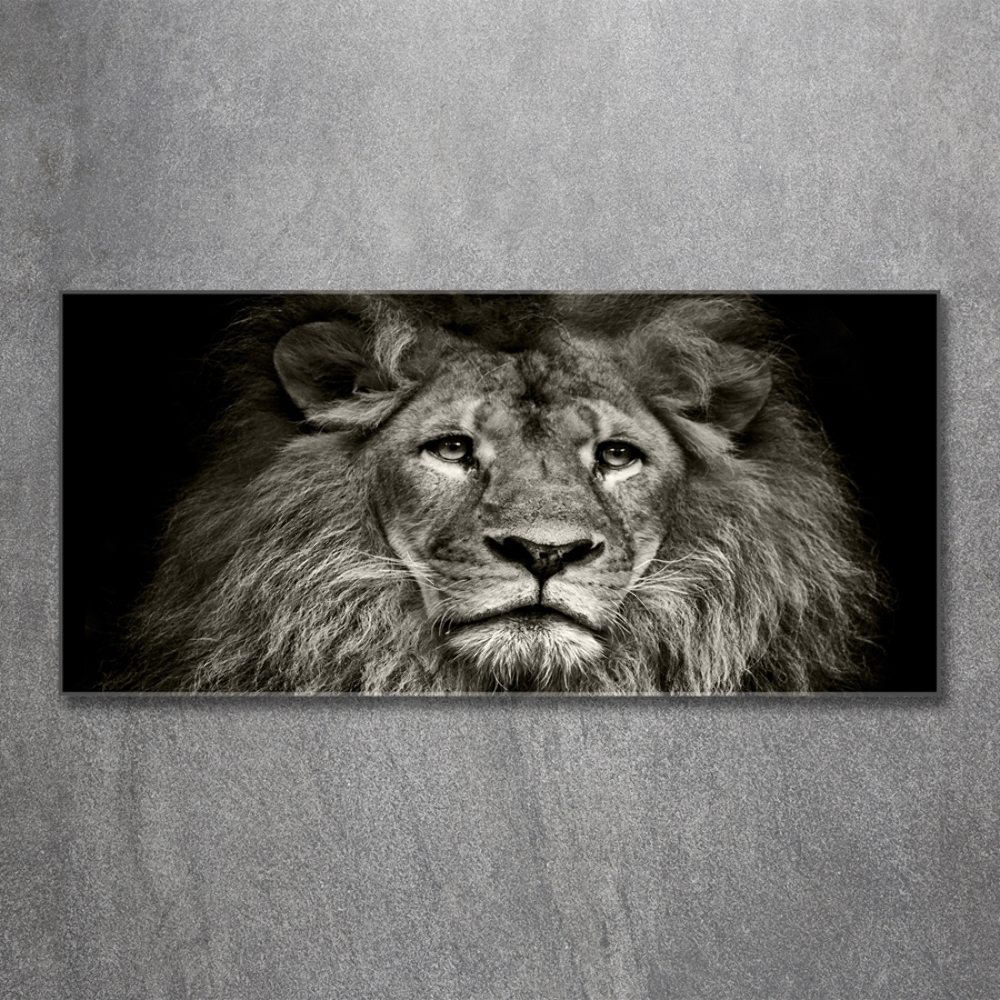 Tableau photo sur verre Lion