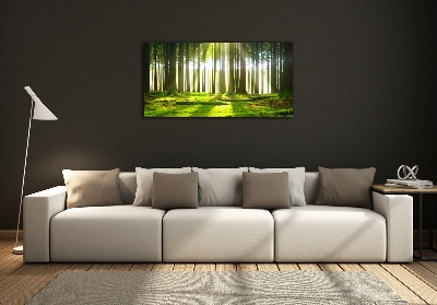 Tableau verre imprimé Forêt au soleil