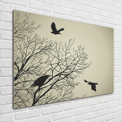 Tableau sur verre Corbeaux dans un arbre