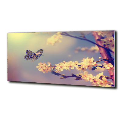 Tableau photo sur verre Fleur de cerisier et papillon