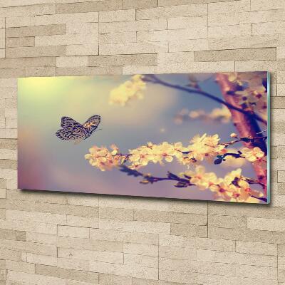 Tableau photo sur verre Fleur de cerisier et papillon