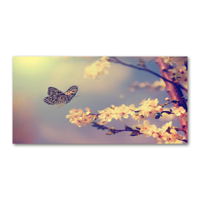 Tableau photo sur verre Fleur de cerisier et papillon