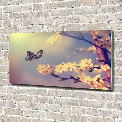 Tableau photo sur verre Fleur de cerisier et papillon