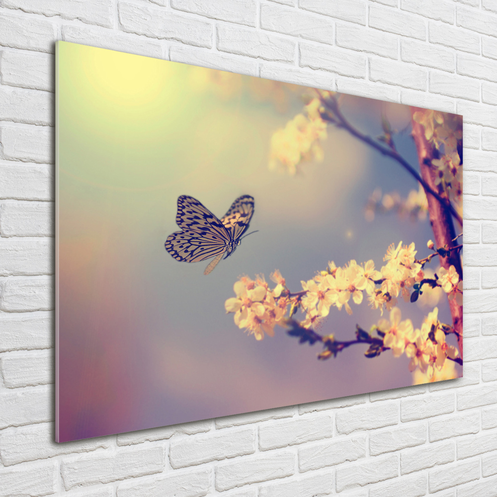 Tableau photo sur verre Fleur de cerisier et papillon