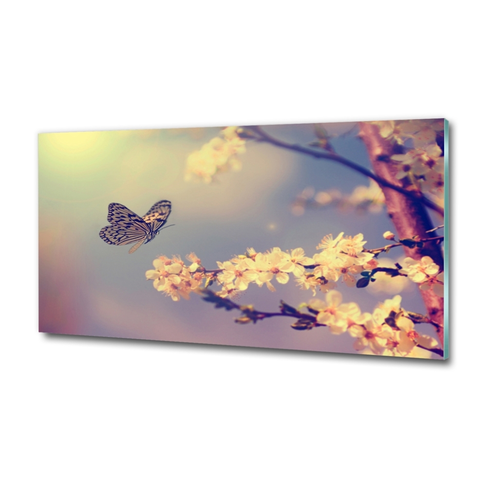 Tableau photo sur verre Fleur de cerisier et papillon