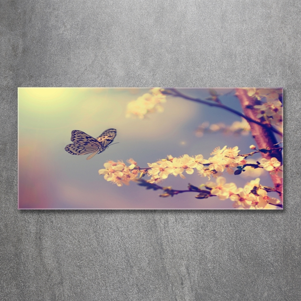 Tableau photo sur verre Fleur de cerisier et papillon