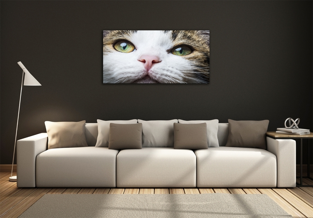 Tableau photo sur verre Yeux de chat verts