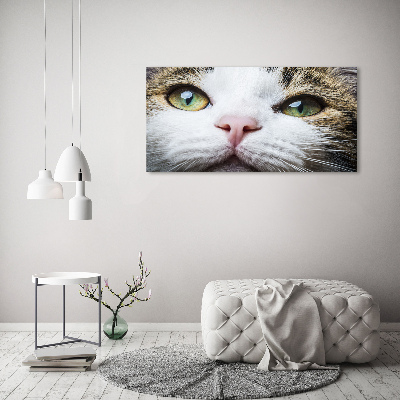 Tableau photo sur verre Yeux de chat verts