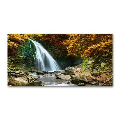 Tableau en verre Chute d'eau dans la forêt