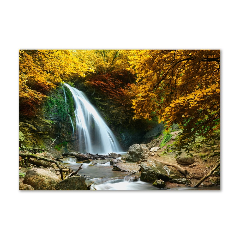 Tableau en verre Chute d'eau dans la forêt