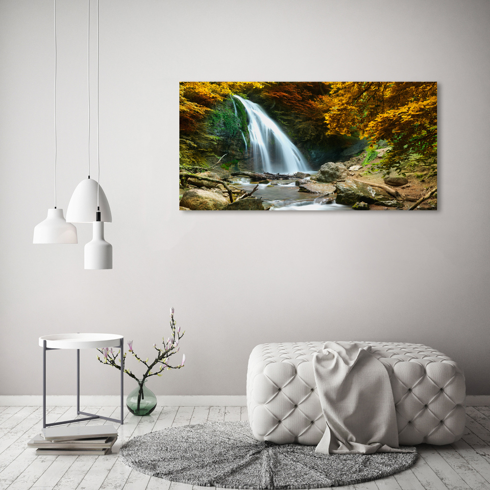 Tableau en verre Chute d'eau dans la forêt