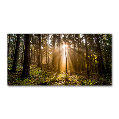 Tableau sur verre Lumière du soleil