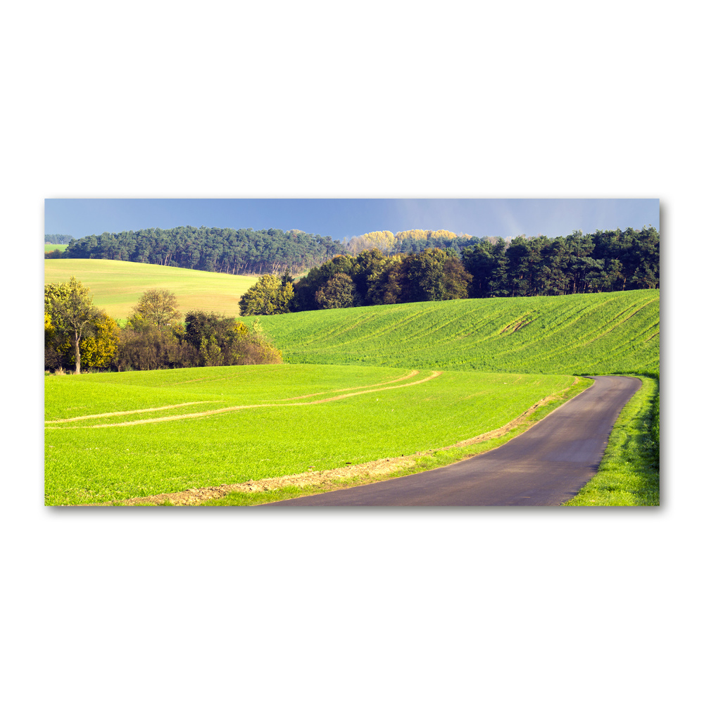 Tableau imprimé sur verre Route de campagne