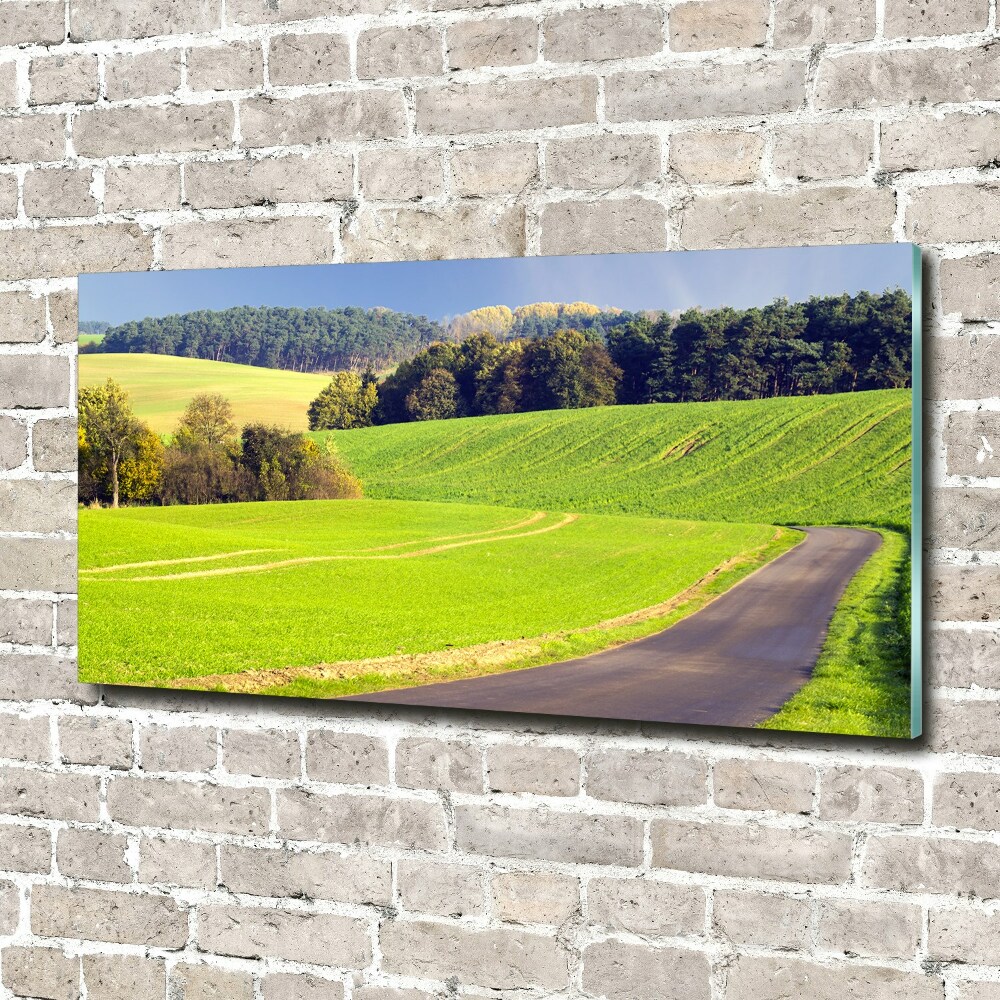 Tableau imprimé sur verre Route de campagne