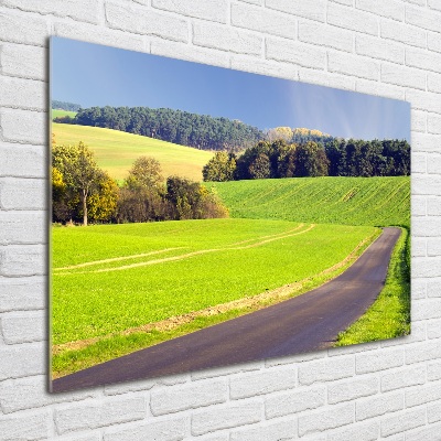 Tableau imprimé sur verre Route de campagne