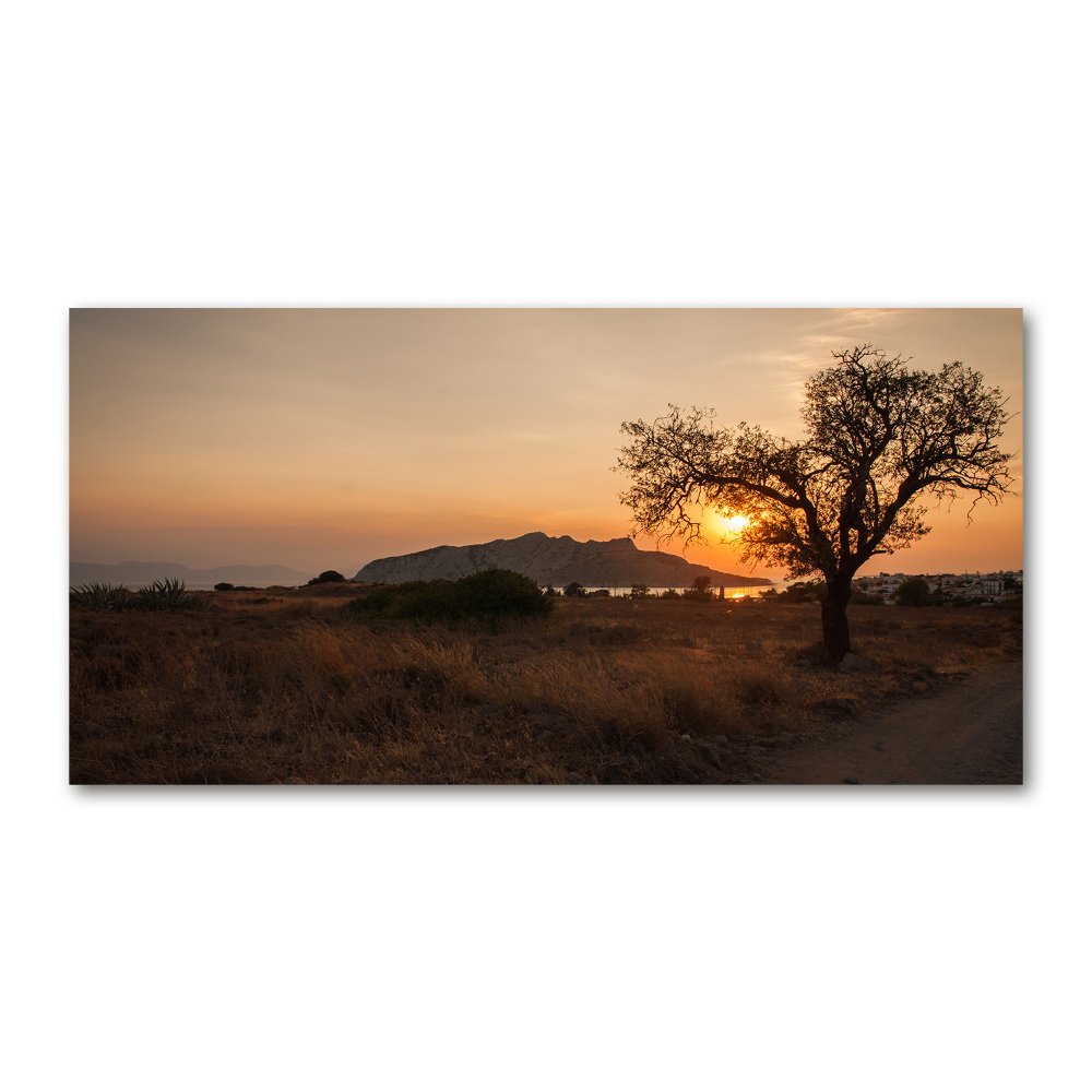 Tableau sur verre Coucher de soleil