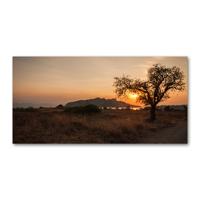 Tableau sur verre Coucher de soleil