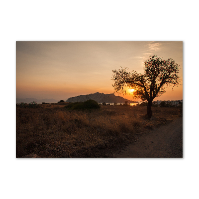 Tableau sur verre Coucher de soleil